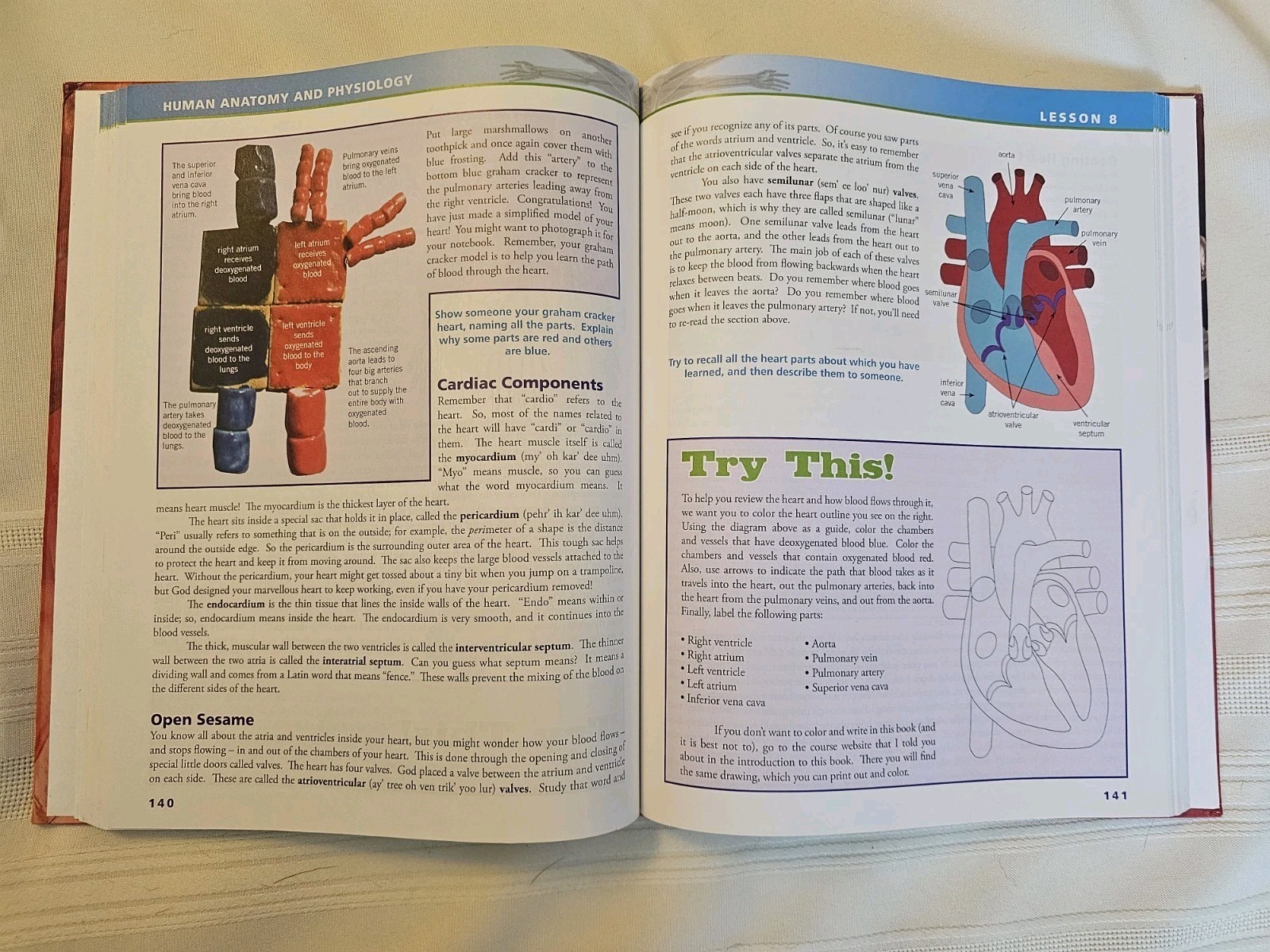 Apologia Exploring Creation with Human Anatomy and Physiology Textbook