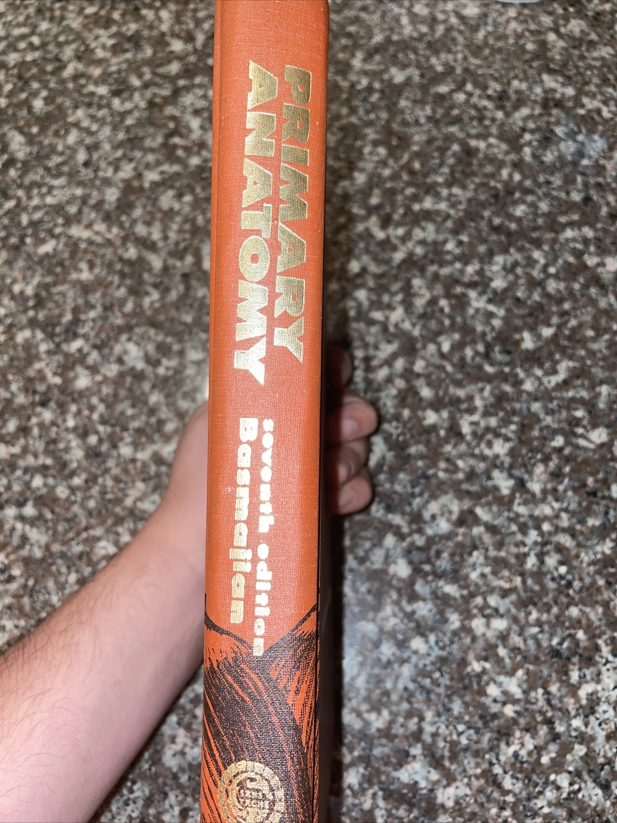 Primary Anatomy – Seventh Edition John Basmajian Hardback 1976 USA Seller!