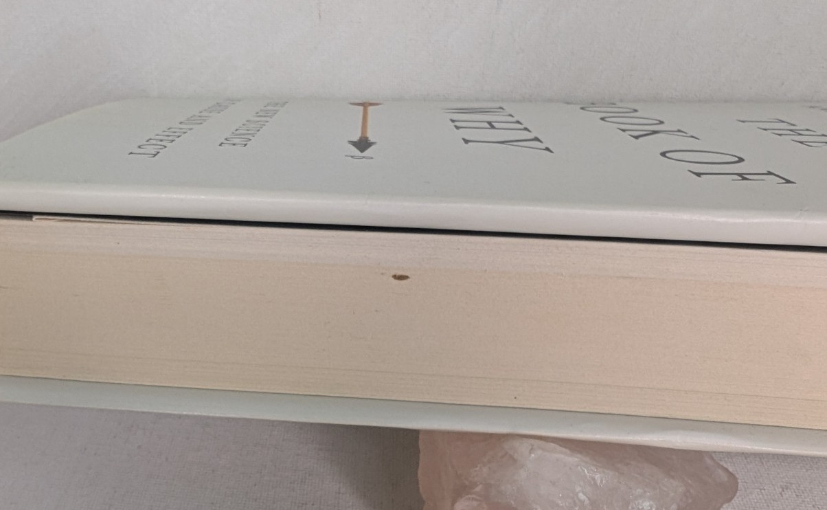 Book of Why: The New Science of Cause and Effect by Mackenzie & Pearl HC/DJ VG