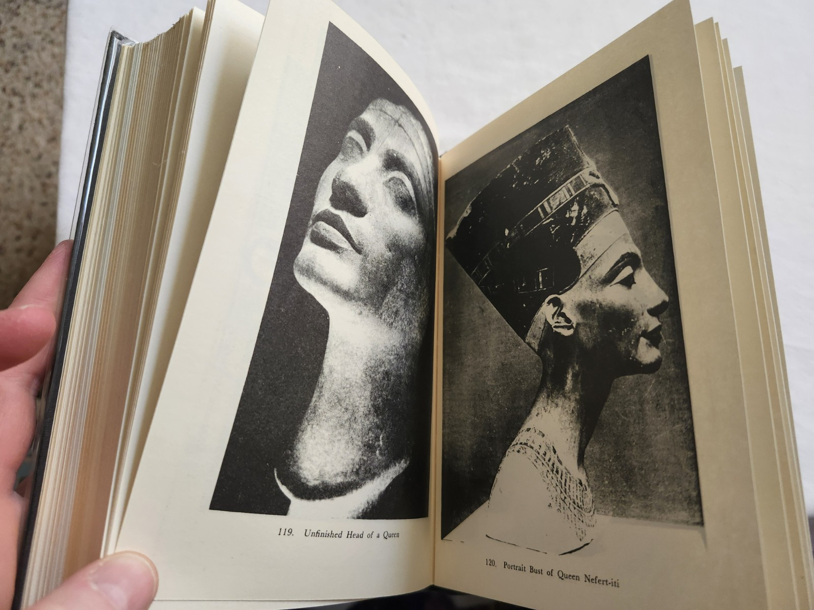Vintage 1973 Ancient Egyptian Art Cyril Aldred Academy Edition History Textbook