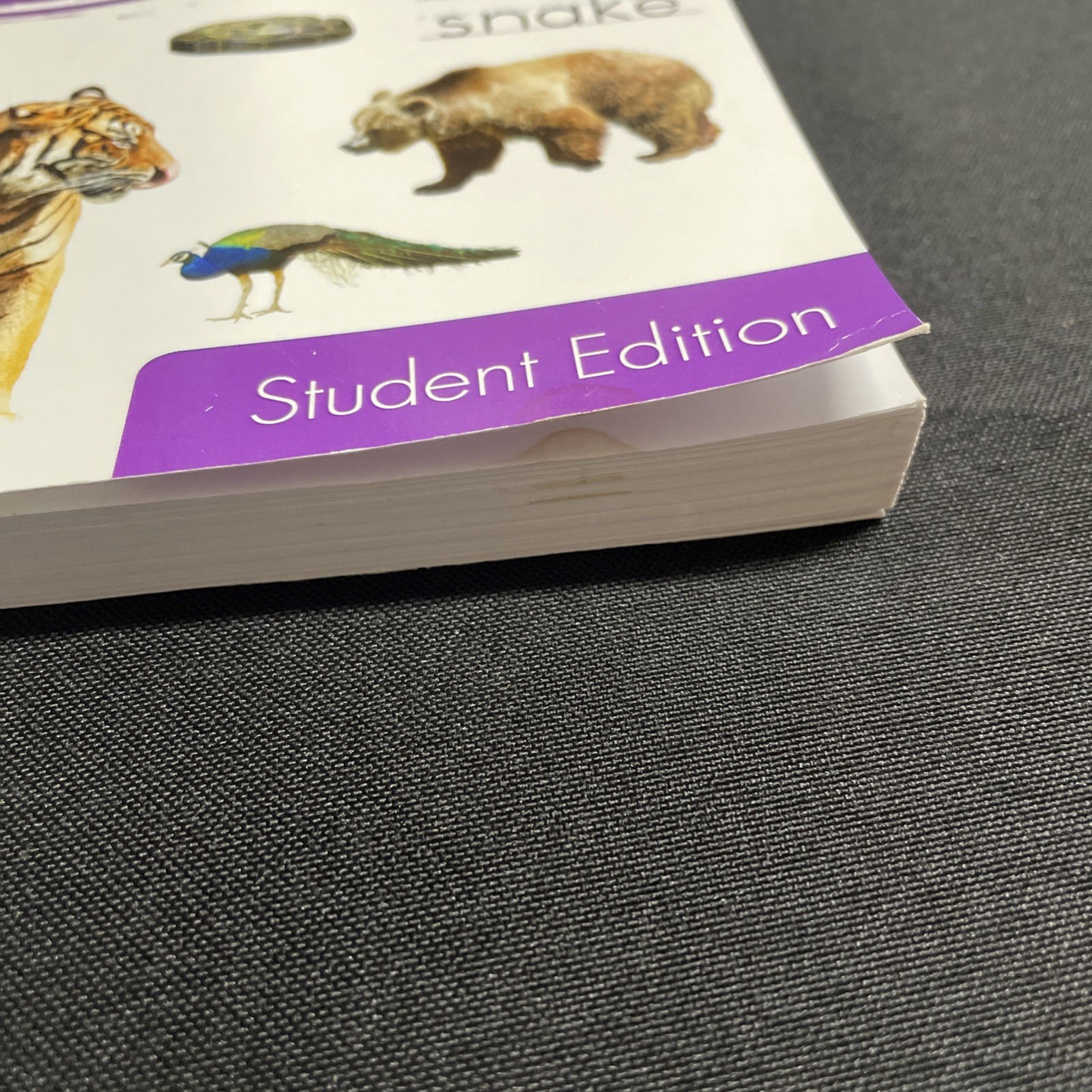Purposeful Design Spelling Plus Grade 1 Student Edition – Workbook Third Edition
