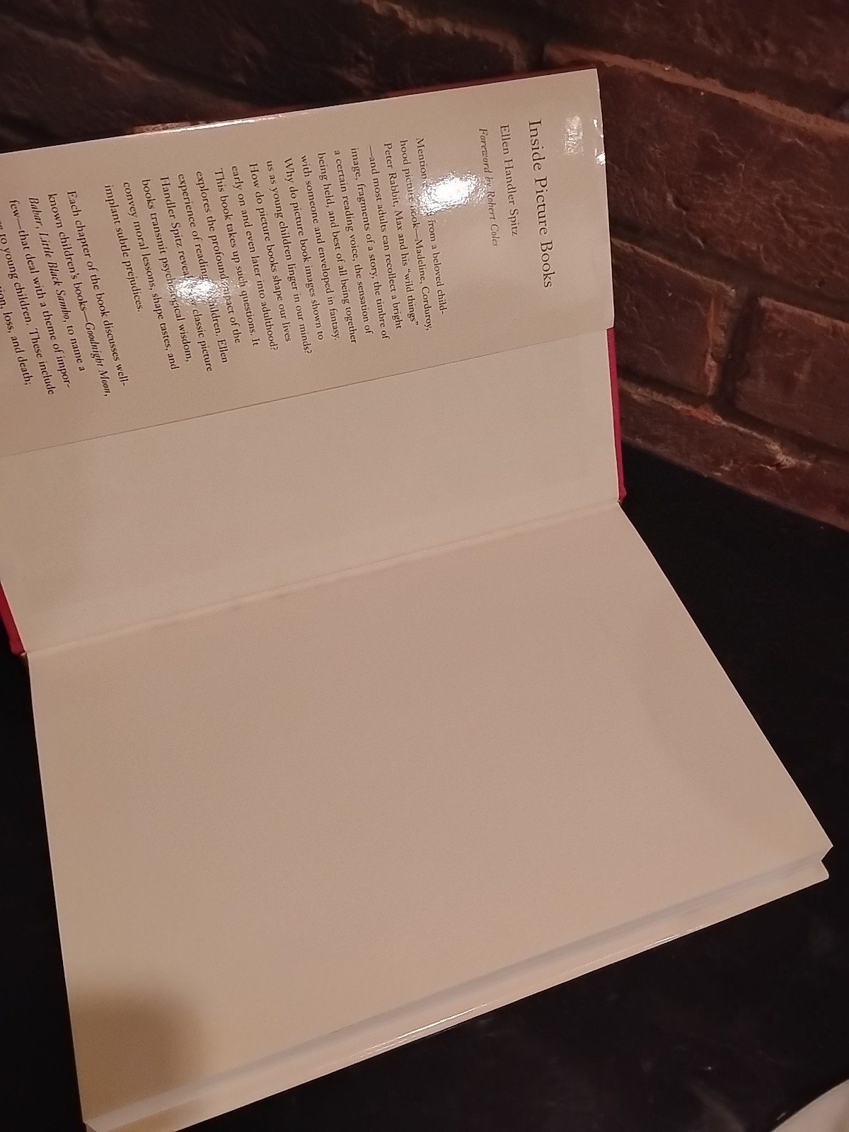 Inside Picture Books by Ellen Handler Spitz 1999 HC DJ First Edition