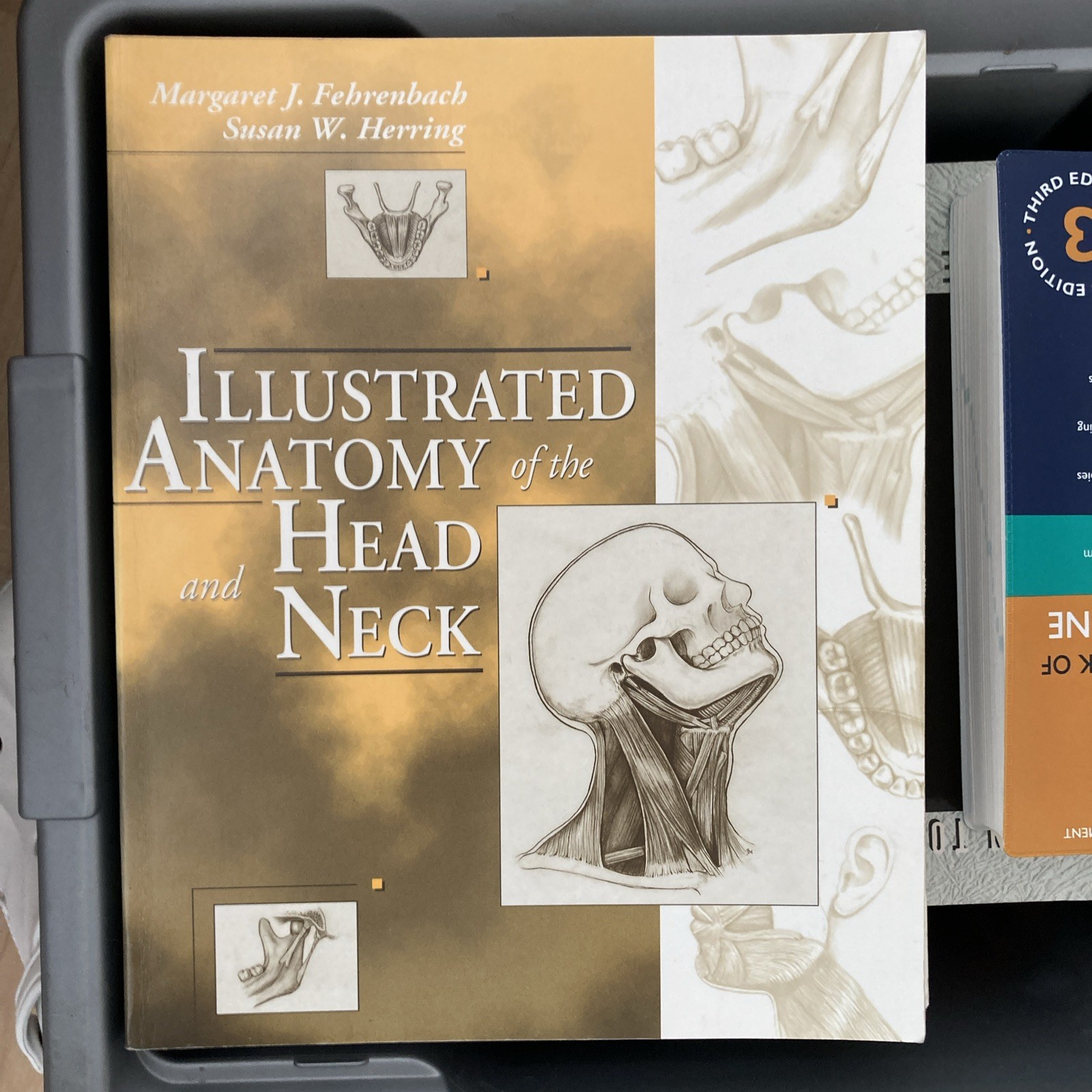 ILLUSTRATED ANATOMY OF THE HEAD AND NECK By Margaret J. Fehrenbach & Susan W.