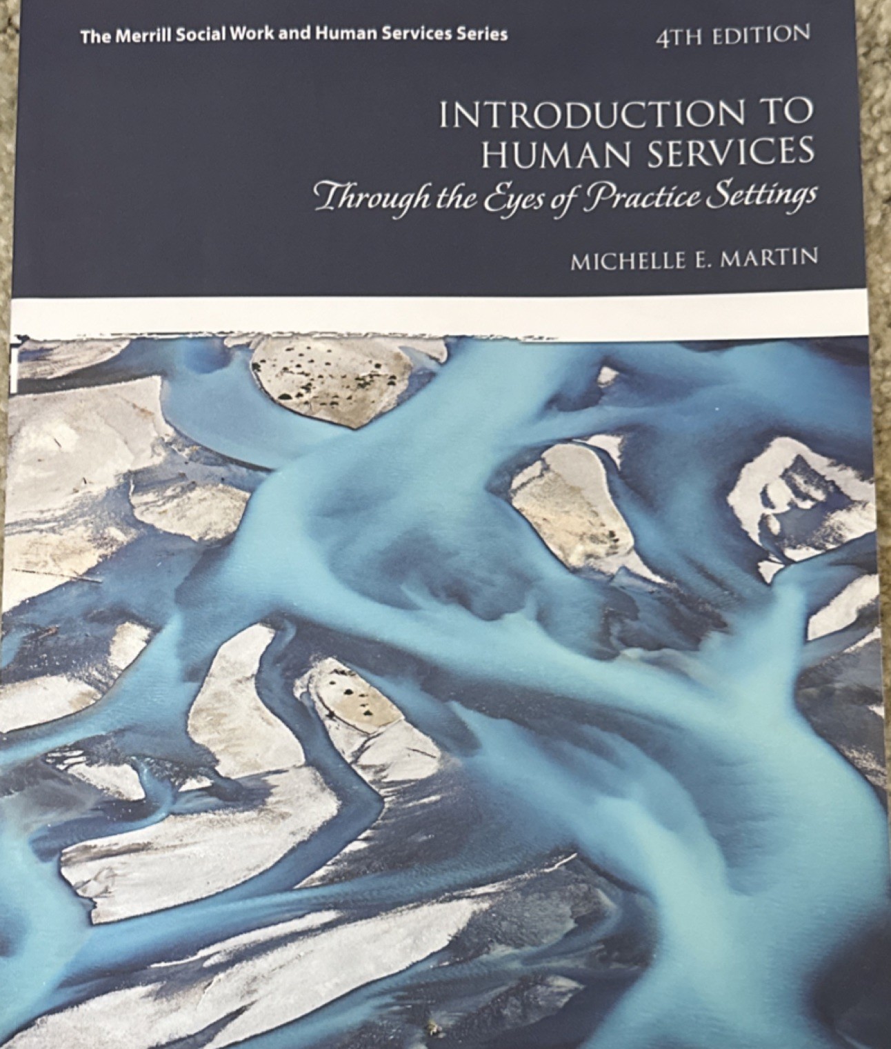 Introduction to Human Services 4th Ed by Michelle E. Martin, Pearson, Paperback