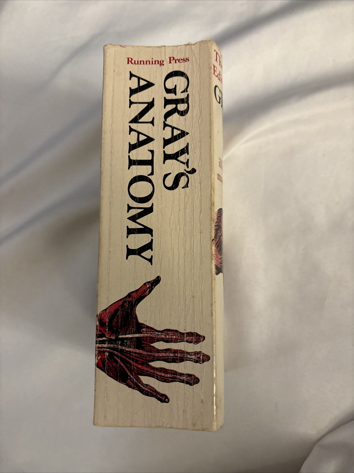 Grays Anatomy; the Unabridged Running Press Edition of the American Classic 1974