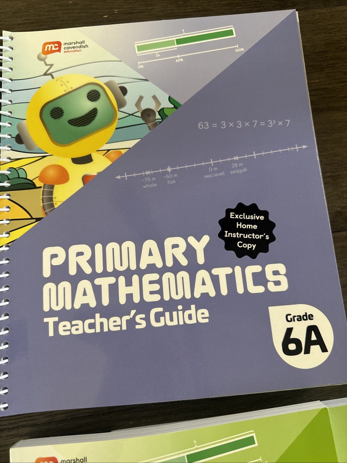 NEW Primary Mathematics Teacher’s Guide Grade 6A 6b student book Math Curriculum