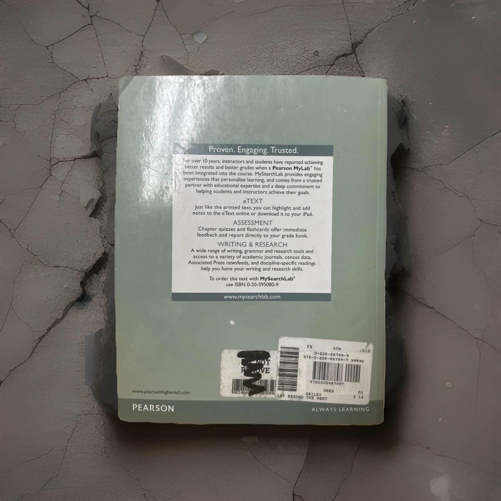 Art Beyond The West Third Edition Michael Kampen O’Riley Softcover SC Book 2014