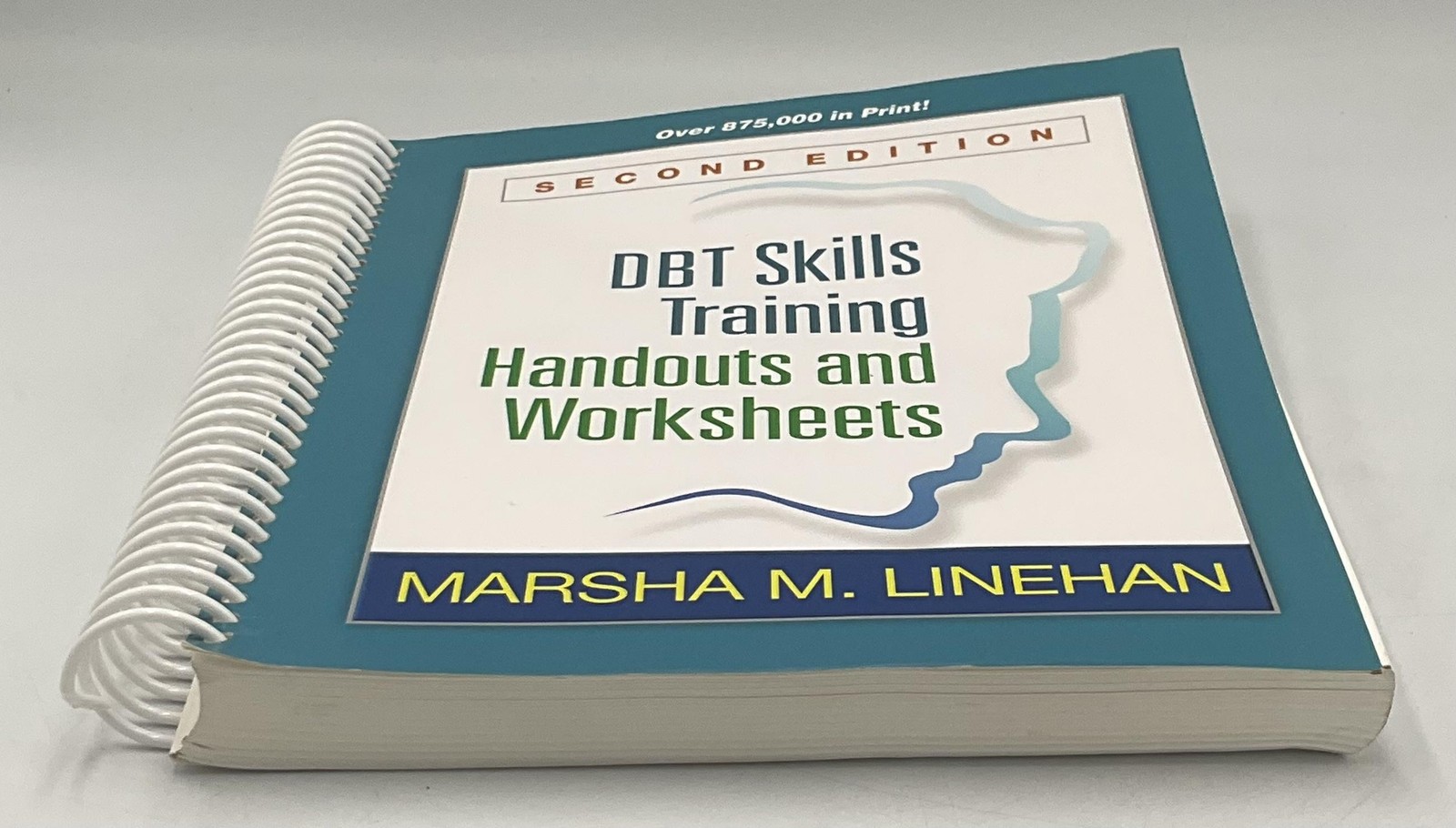 DBT Skills Training Handouts & Worksheets 2nd Ed Linehan Guilford Korea Teal