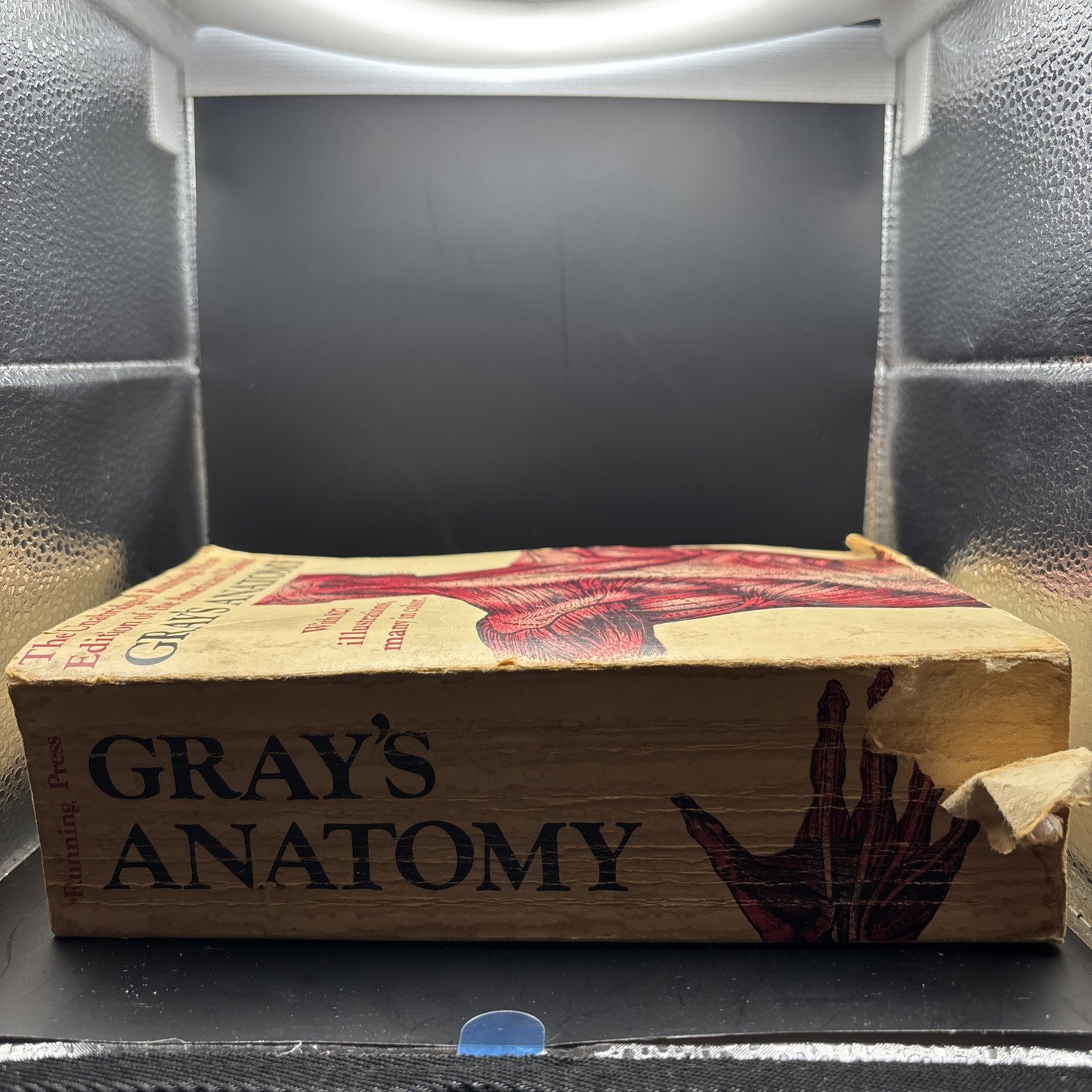 Grays Anatomy; the Unabridged Running Press Edition of the American Classic 1974