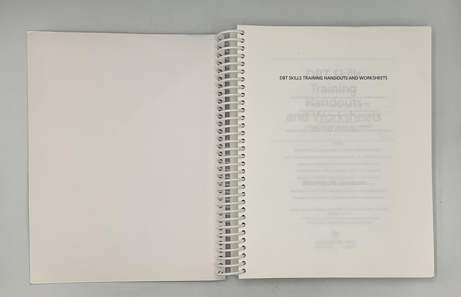 DBT Skills Training Handouts & Worksheets 2nd Ed Linehan Guilford Korea Teal