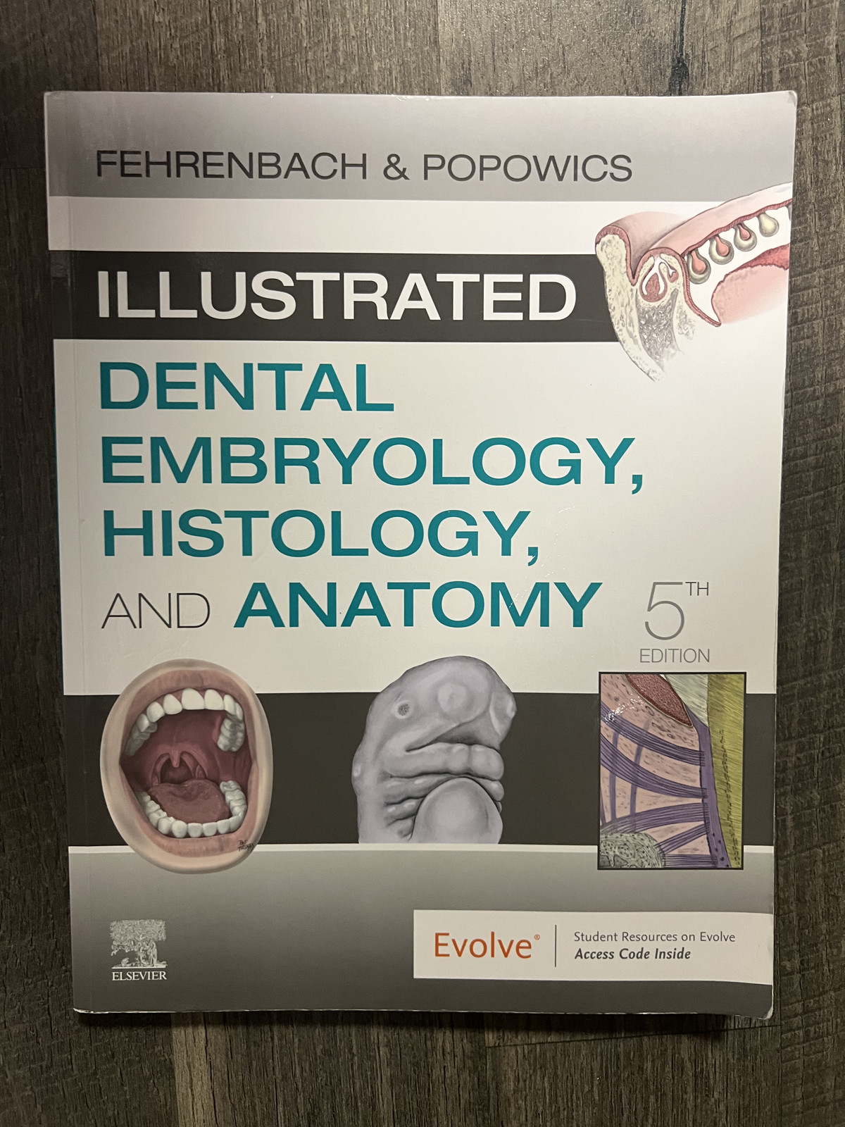 Illustrated Dental Embryology, Histology, and Anatomy by Margaret J. Fehrenbach
