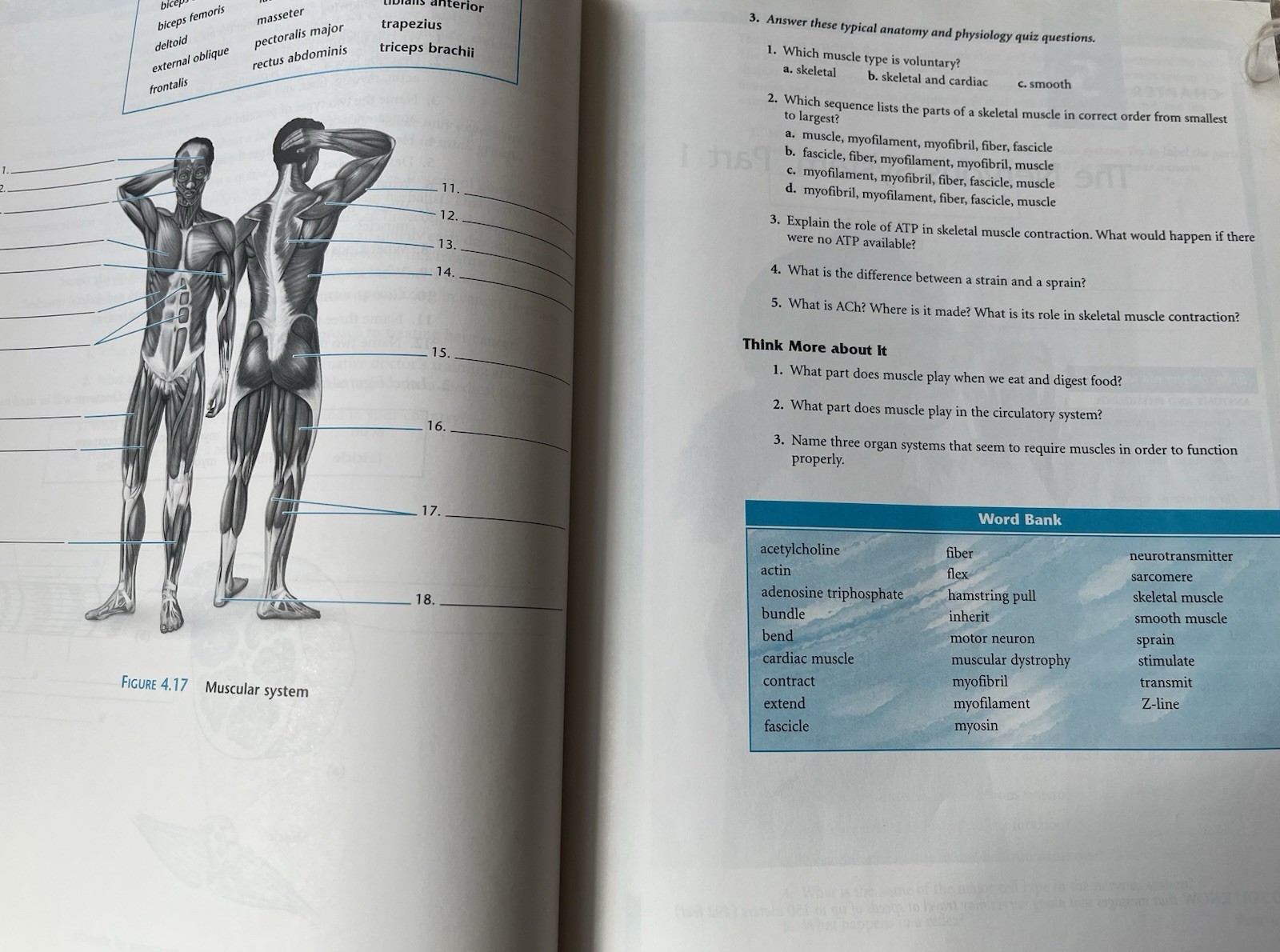 Anatomy and Physiology for English Language Learners1st Edition