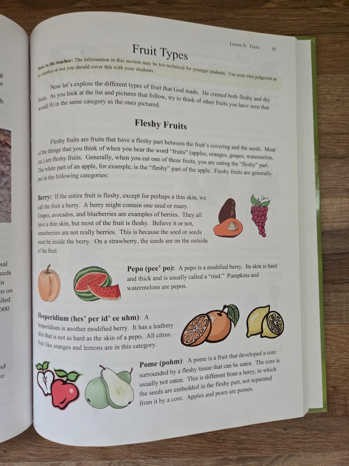 Exploring Creation with Botany – Young Explorer Series [0806]