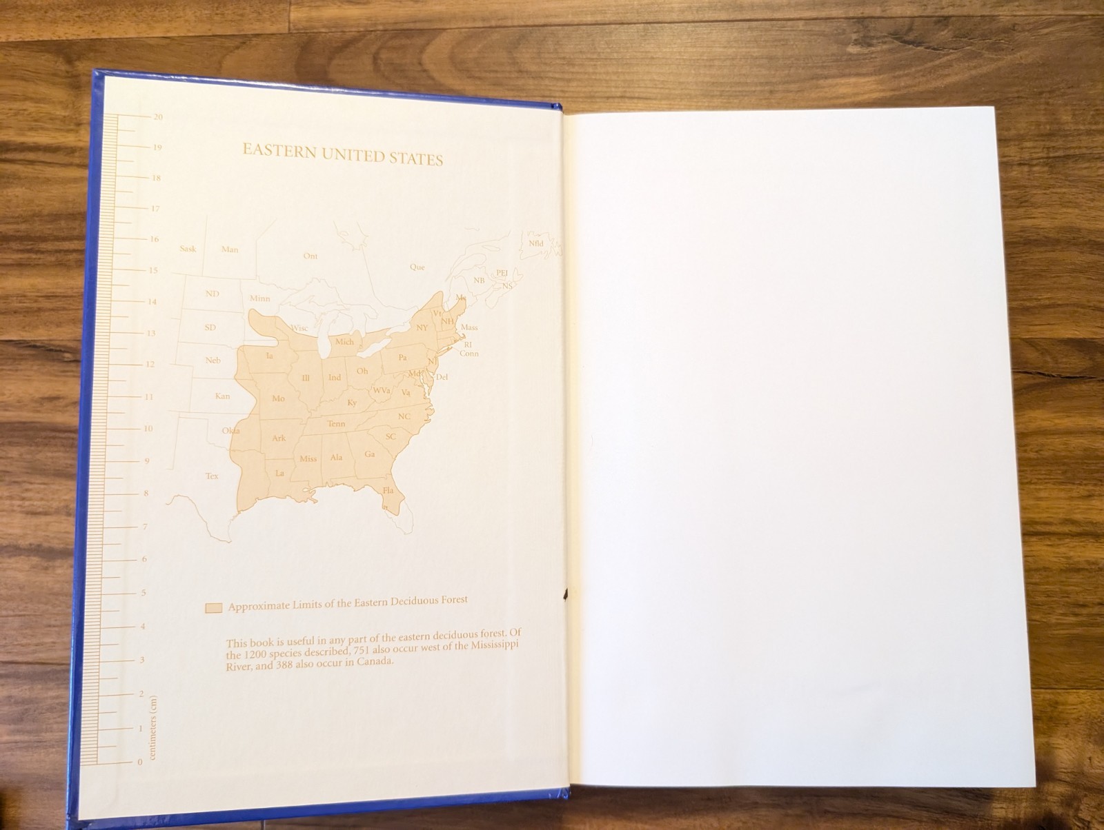 Wildflowers of the Eastern United States by Wilbur H Duncan Hardcover
