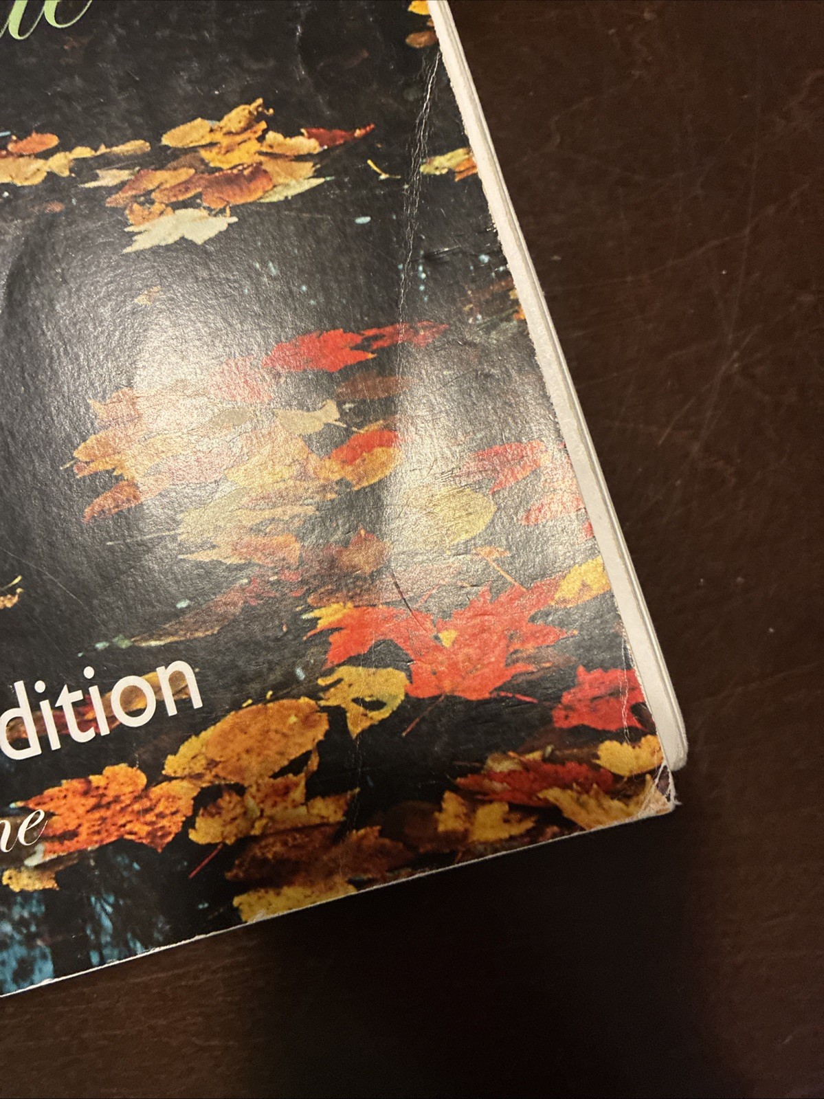 Mosdos Literature Teacher’s Edition – Jade, 7th Grade Curriculum – Two Volumes