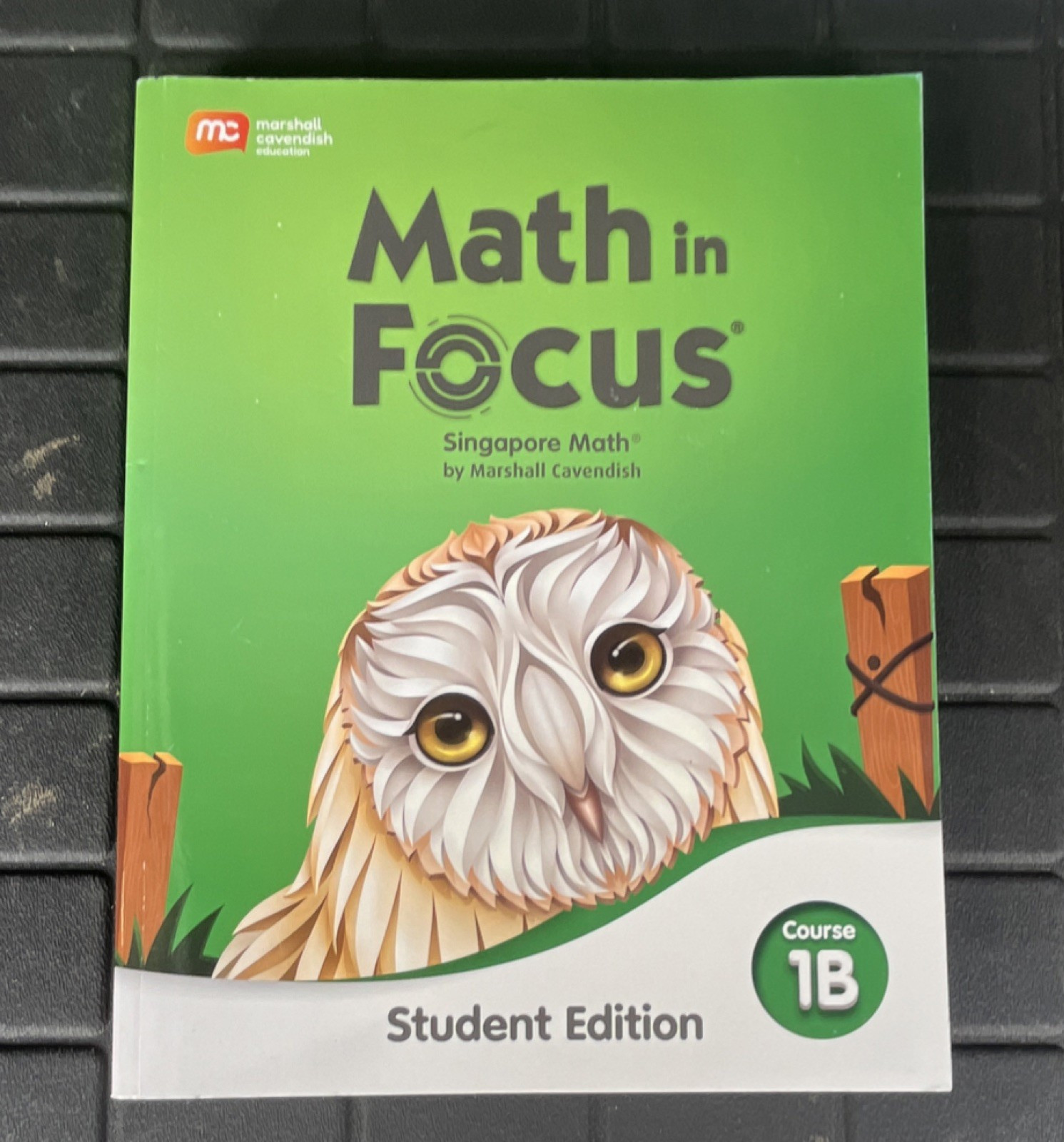Marshall Cavendish Math in Focus Singapore Math Course 1B Student Edition