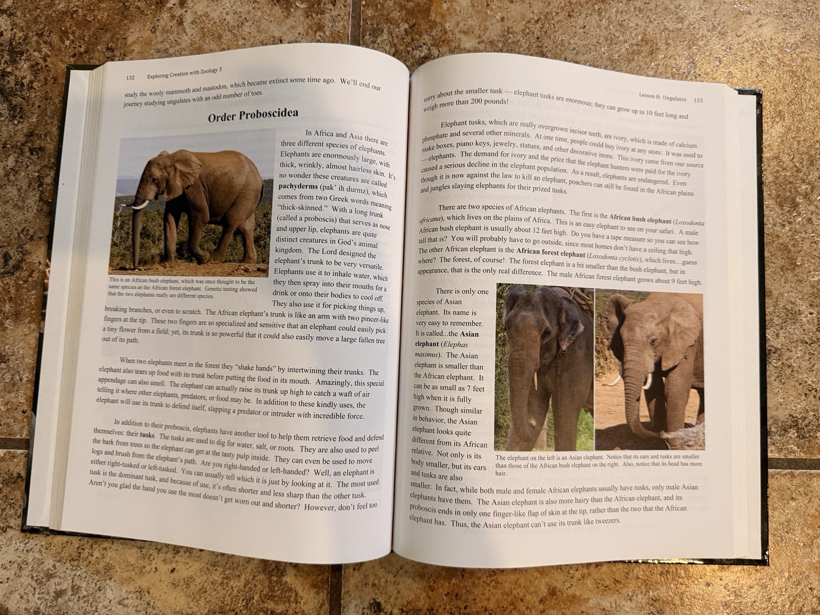 Apologia Exploring Creation Zoology 3 Textbook/Journal HC Spiral