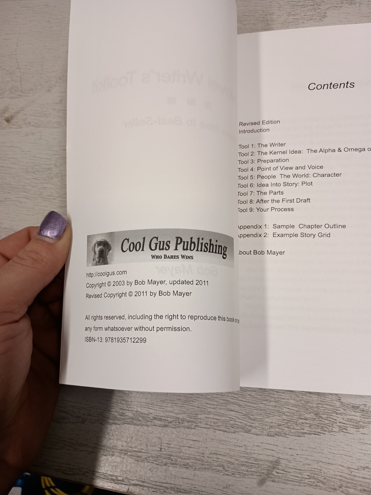 Novel Writer’s Toolkit : From Idea to Best-Seller by Bob Mayer (2011, Trade…