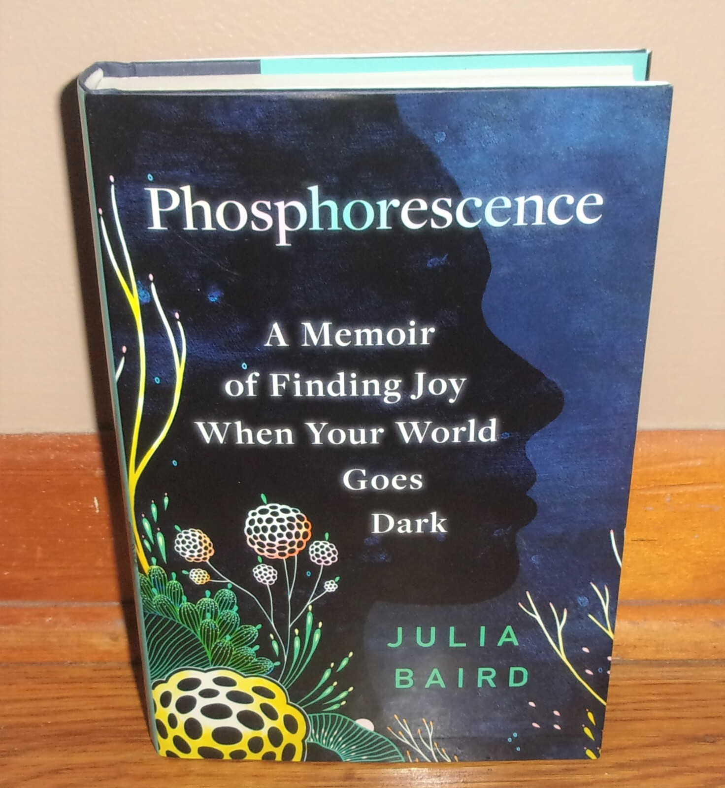 PHOSPHORESCENCE-Memoir of Finding Joy When Your World Goes Dark-SUPERB 1st HC DJ