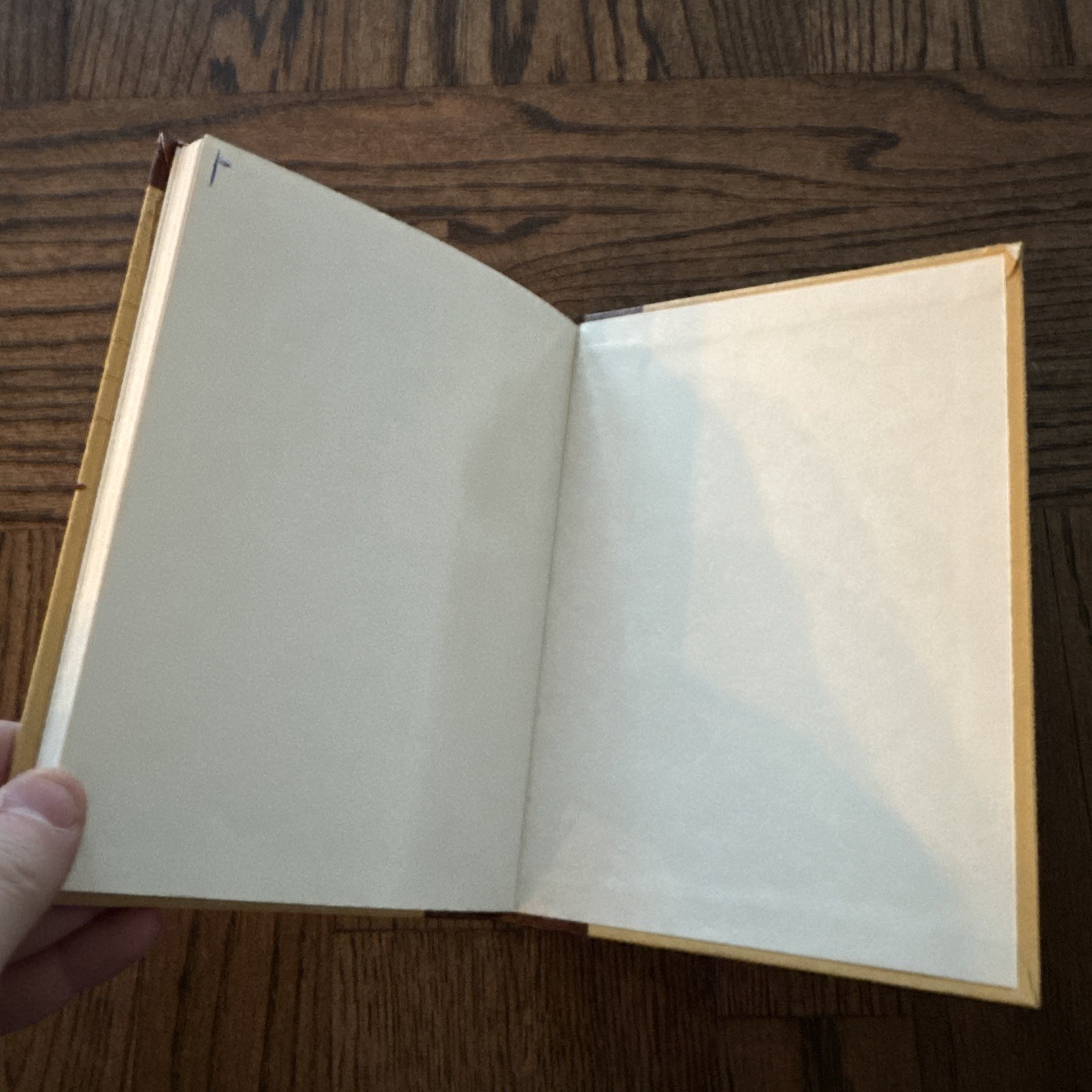 Behold the Sign: Ancient Symbolism Lewis Hardcover Symbolism 1973 Ed