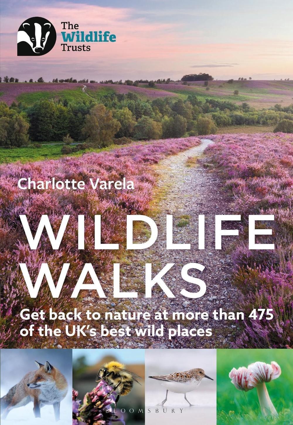 Wildlife Walks: Get back to nature at more than 475 of the UK’s best wild places