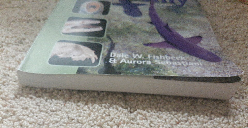Comparative Anatomy : Manual of Vertebrate Dissection by Dale W. Fishbeck and…