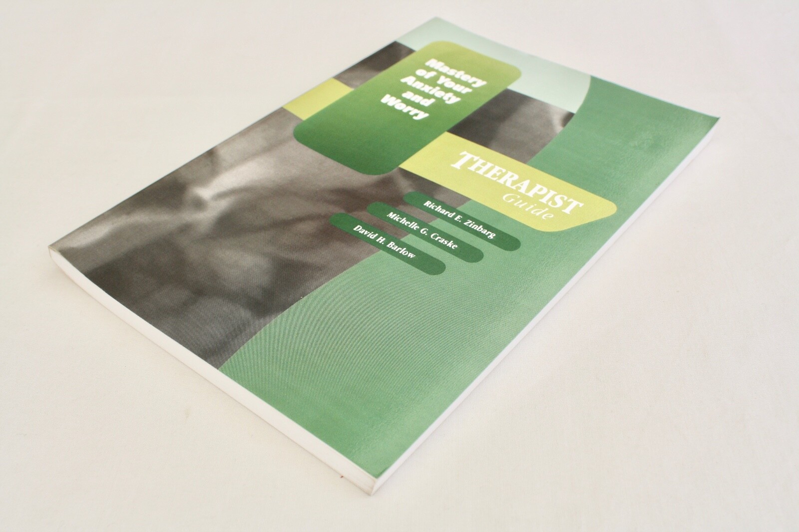 Mastery of Your Anxiety and Worry (MAW): Therapist Guide by David H. Barlow,…