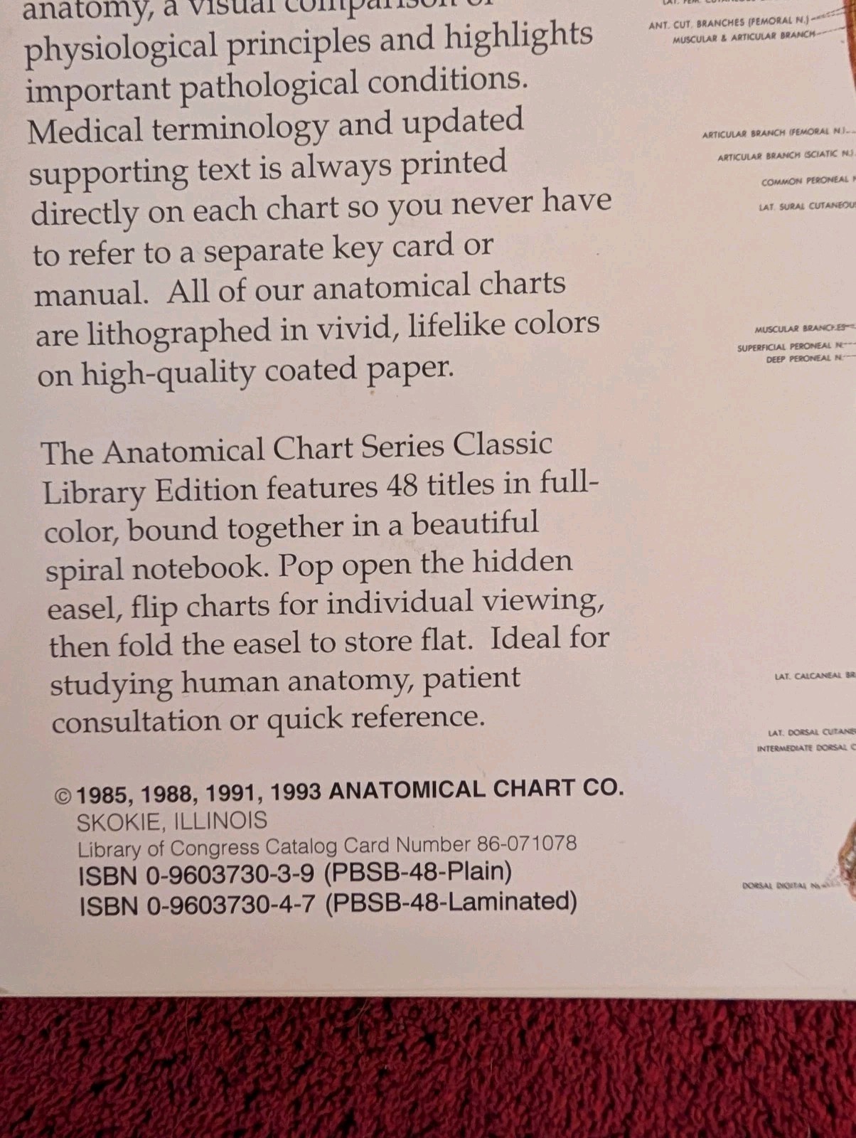 The Anatomical Chart Series Classic Library Edition 11×15 –Laminated Pages