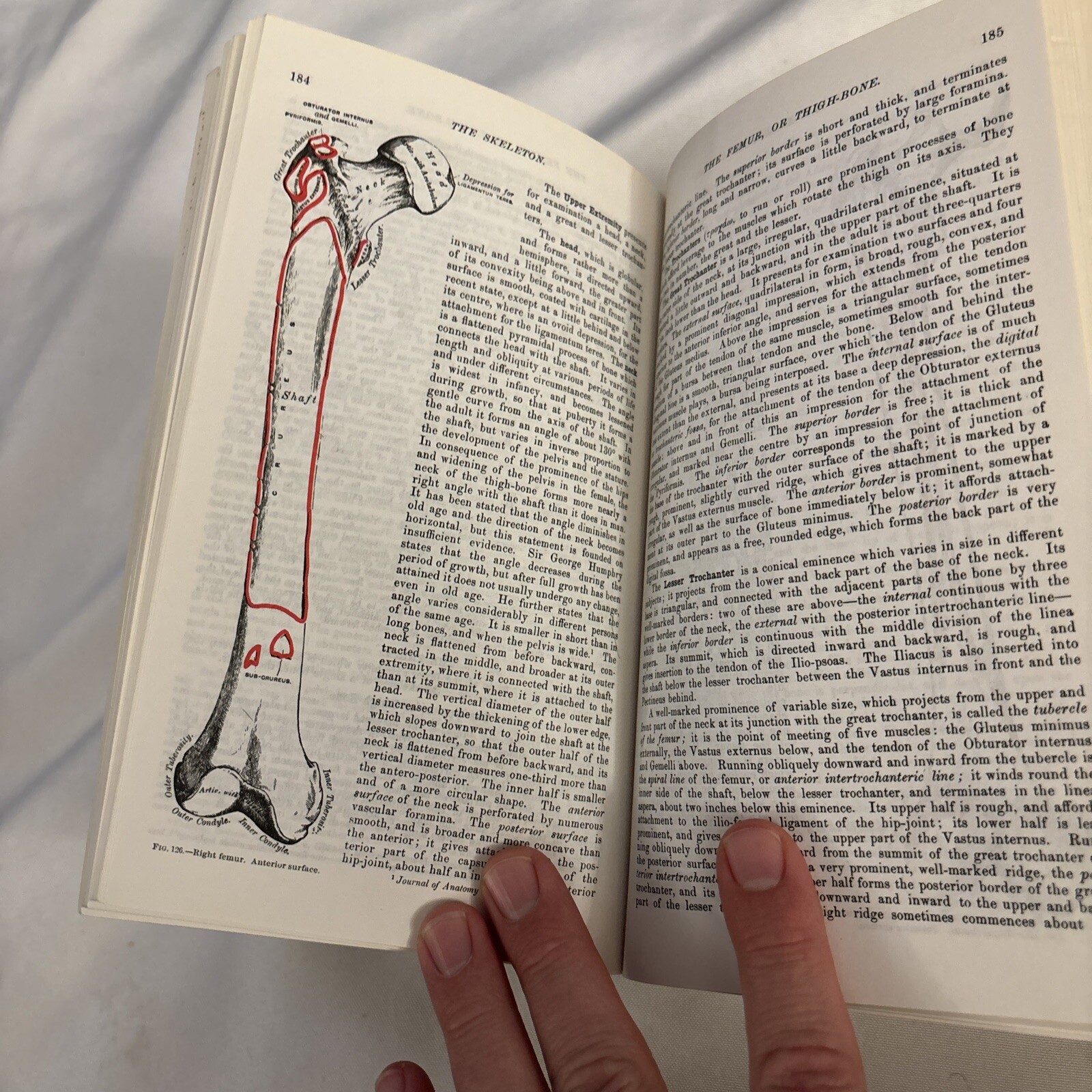 Grays Anatomy; the Unabridged Running Press Edition of the American Classic 1974