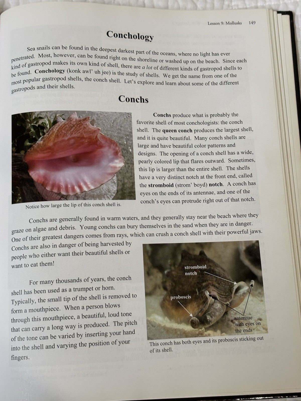 Exploring Creation With Zoology Vol 1 Young Explorers Series Fulbright Apologia