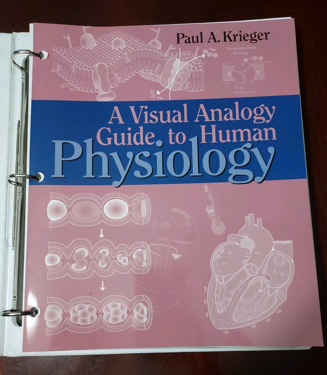 A Visual Analogy Guide to Human Physiology by Paul A. Krieger Anatomy QG & Test