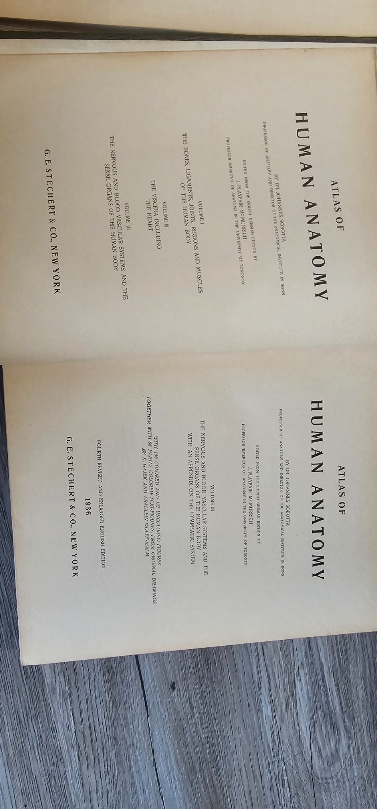 Atlas of Human Anatomy Sobotta-McMurrich 3 volume 1936