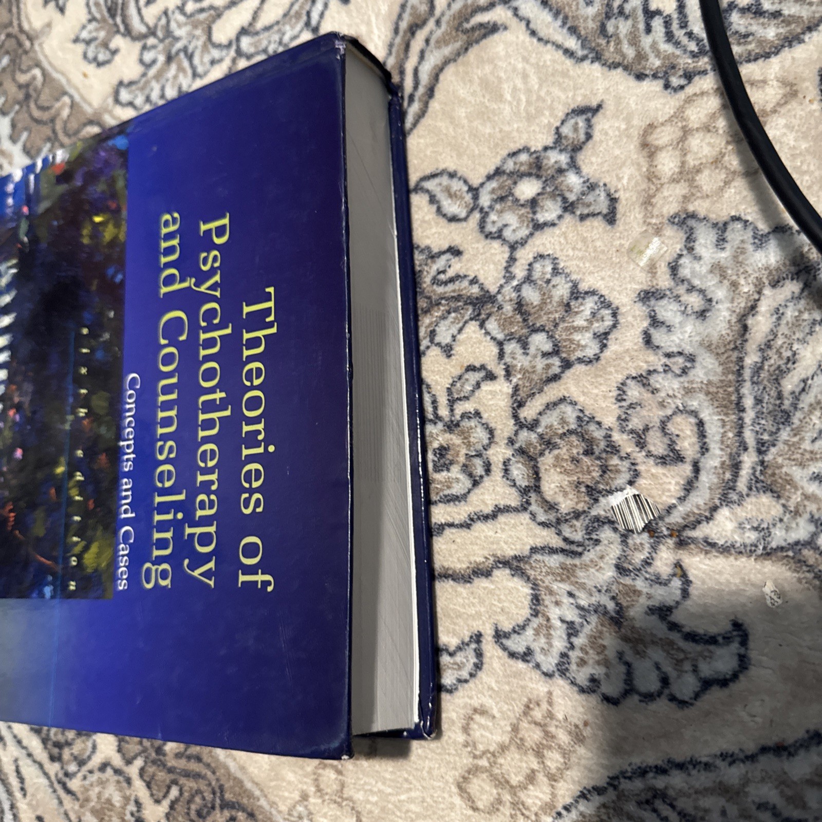 Theories of Psychotherapy & Counseling: Concepts and Cases 6th Edition *GOOD*