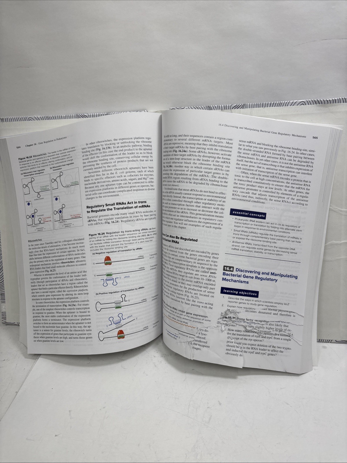 Genetics: From Genes to Genomes 6th Edition.. Pieces Of Pages Torn Out..565-575
