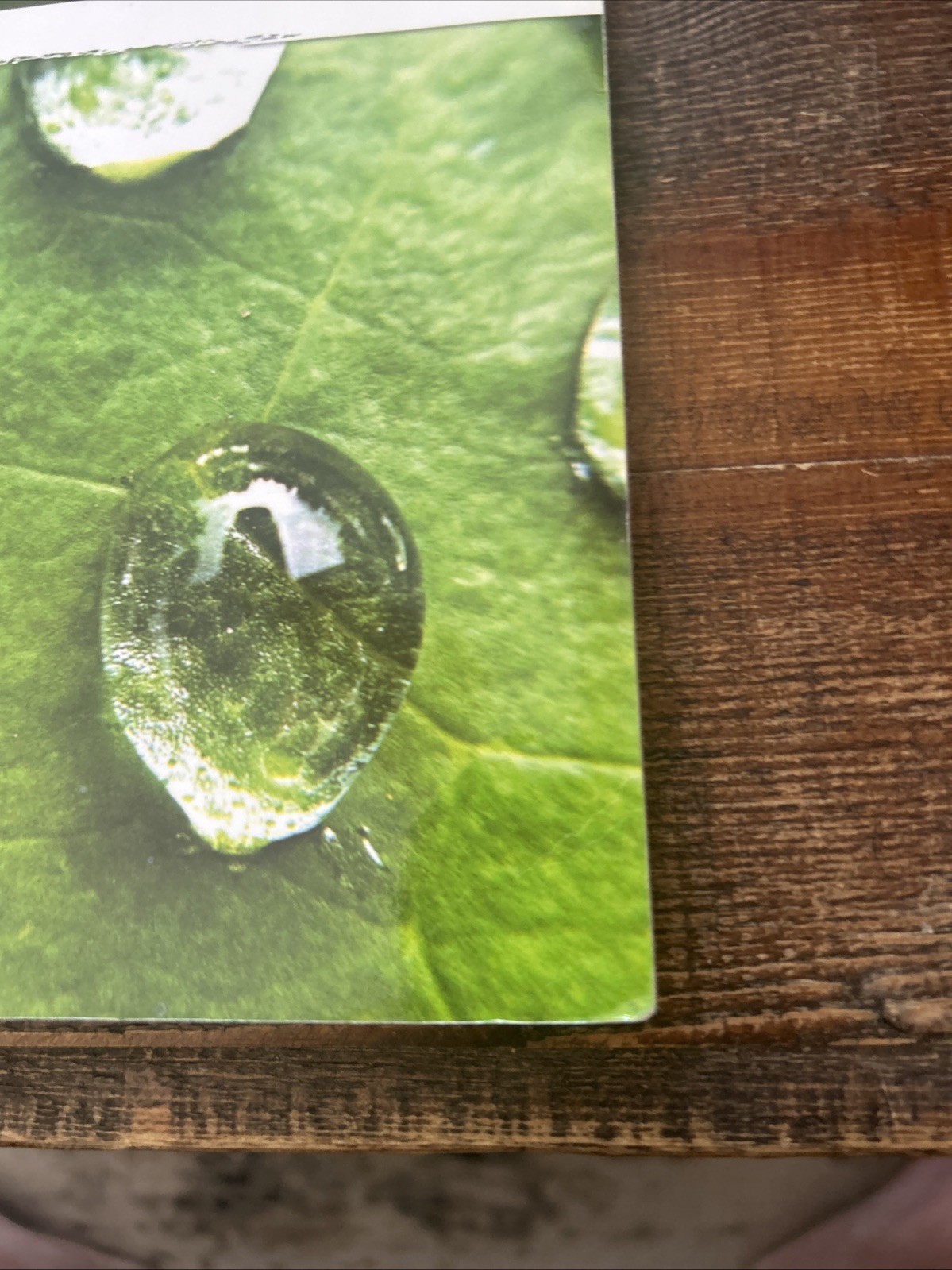 Developing Your Theoretical Orientation In Counseling And Psychotherapy