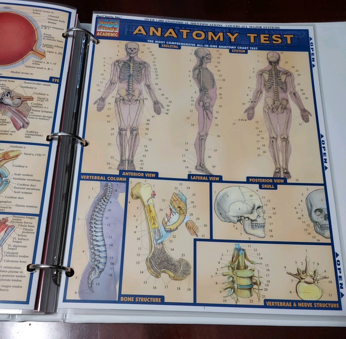 A Visual Analogy Guide to Human Physiology by Paul A. Krieger Anatomy QG & Test