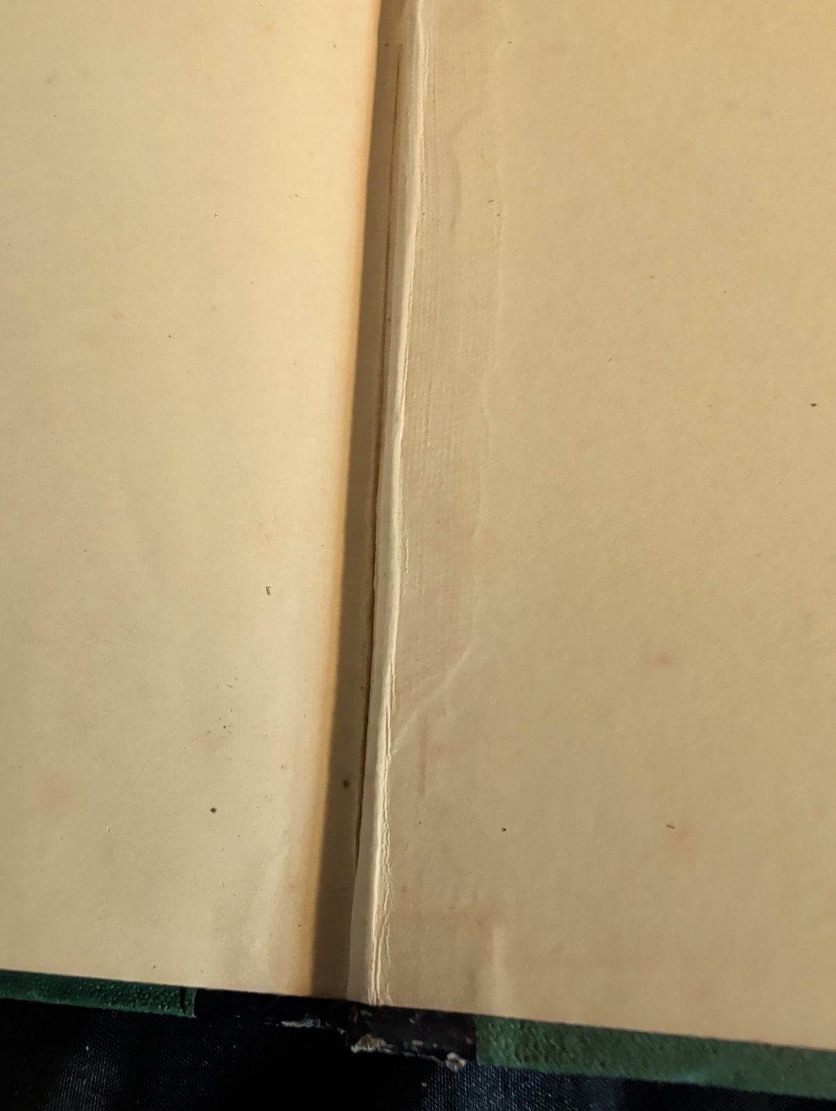 1872 First Book of Botany by Eliza A Youmans, Illustrated Hardcover 202 pages