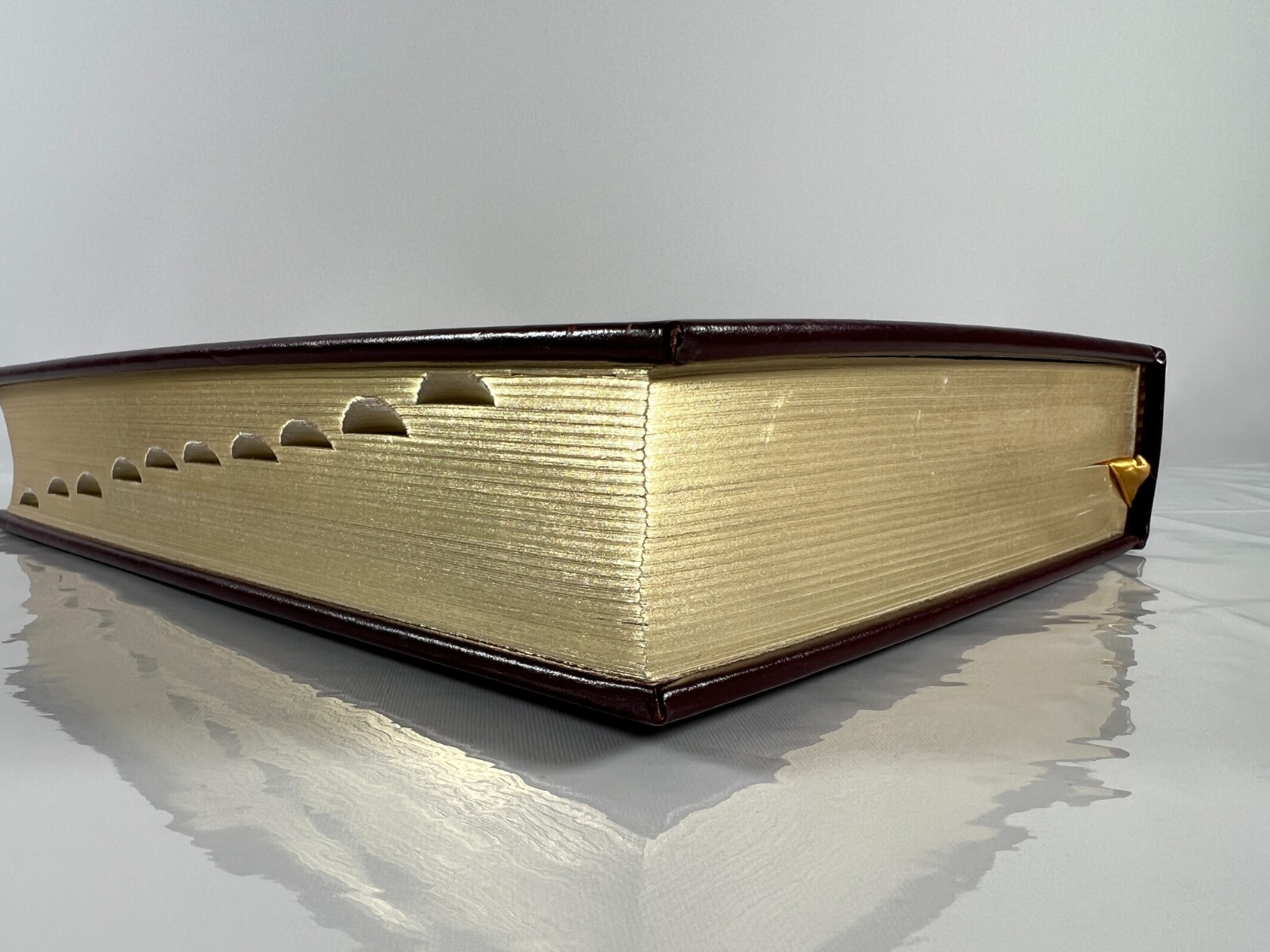 Webster’s Medical Desk Dictionary 1986 Decorative Leatherbound Merriam Webster