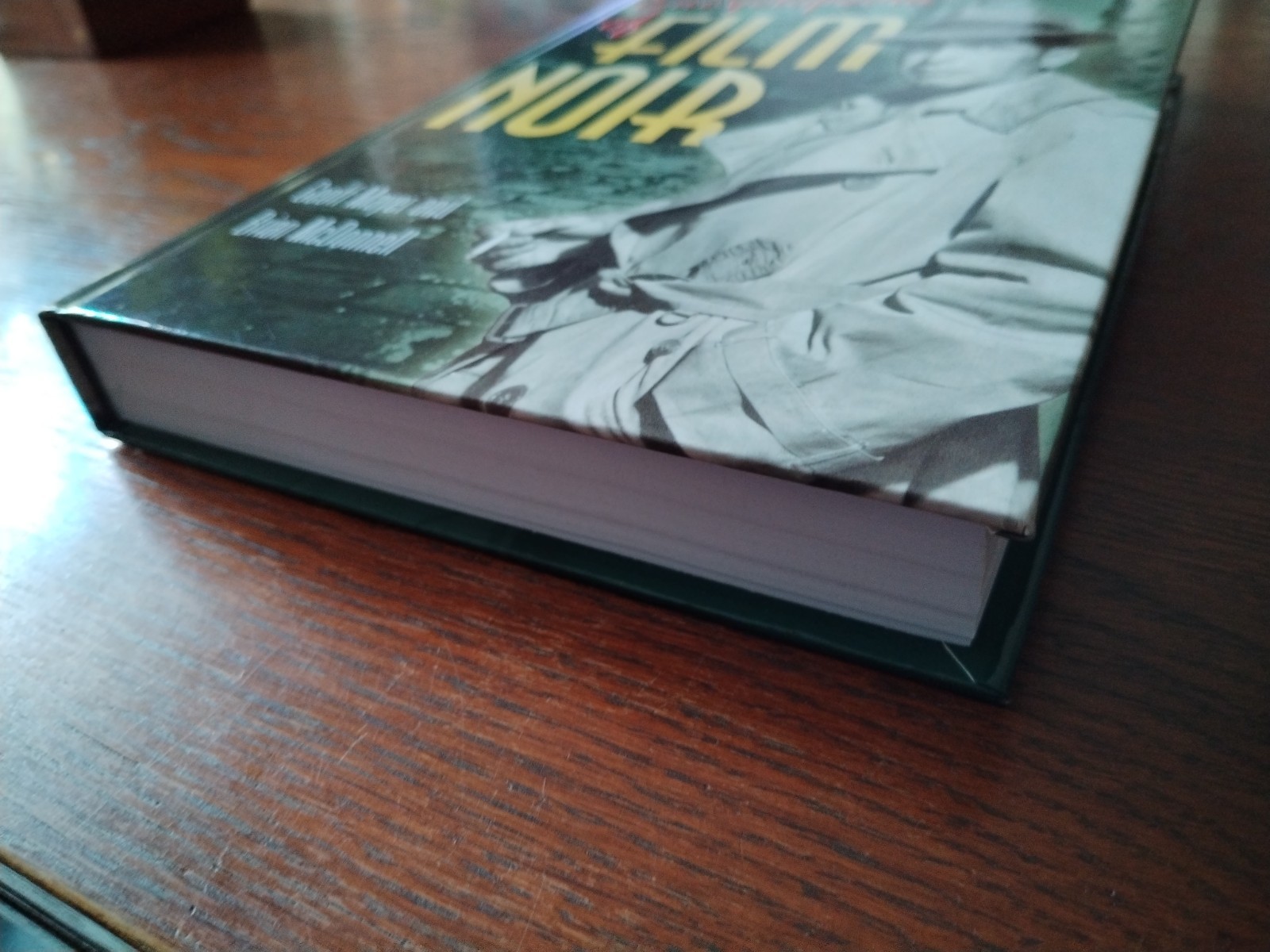 Excellent condition Encyclopedia of Film Noir book Geoff Mayer & Brian McDonnell