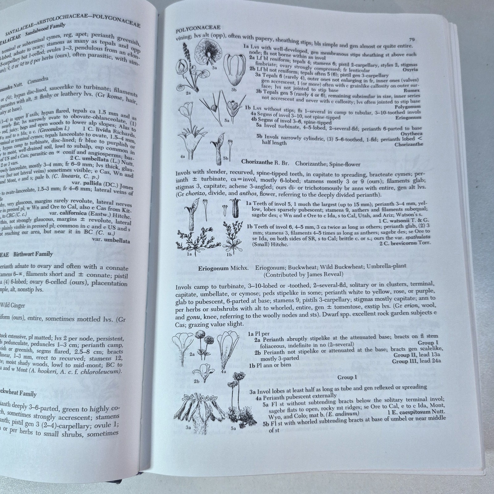 Flora of the Pacific Northwest: An Illustrated Manual by C. Leo Hitchcock VGC