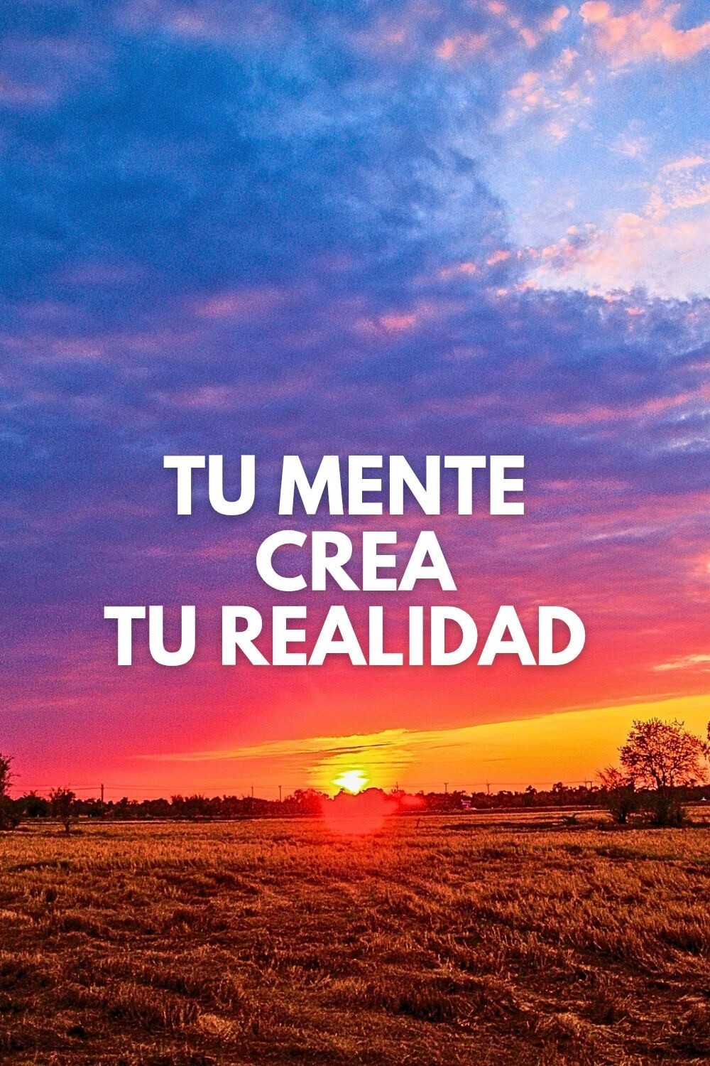 Transforma tus pensamientos Transforma tu Vida Instant Download