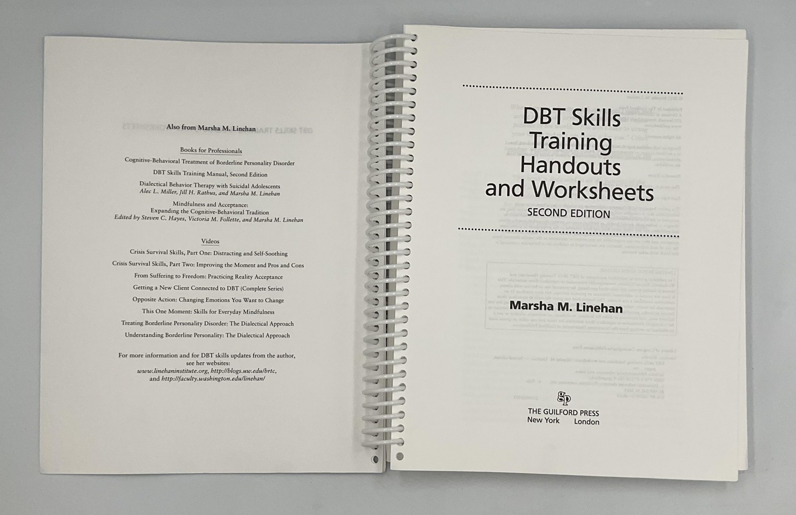 DBT Skills Training Handouts & Worksheets Marsha Linehan Guilford 8.5×11 Teal PB