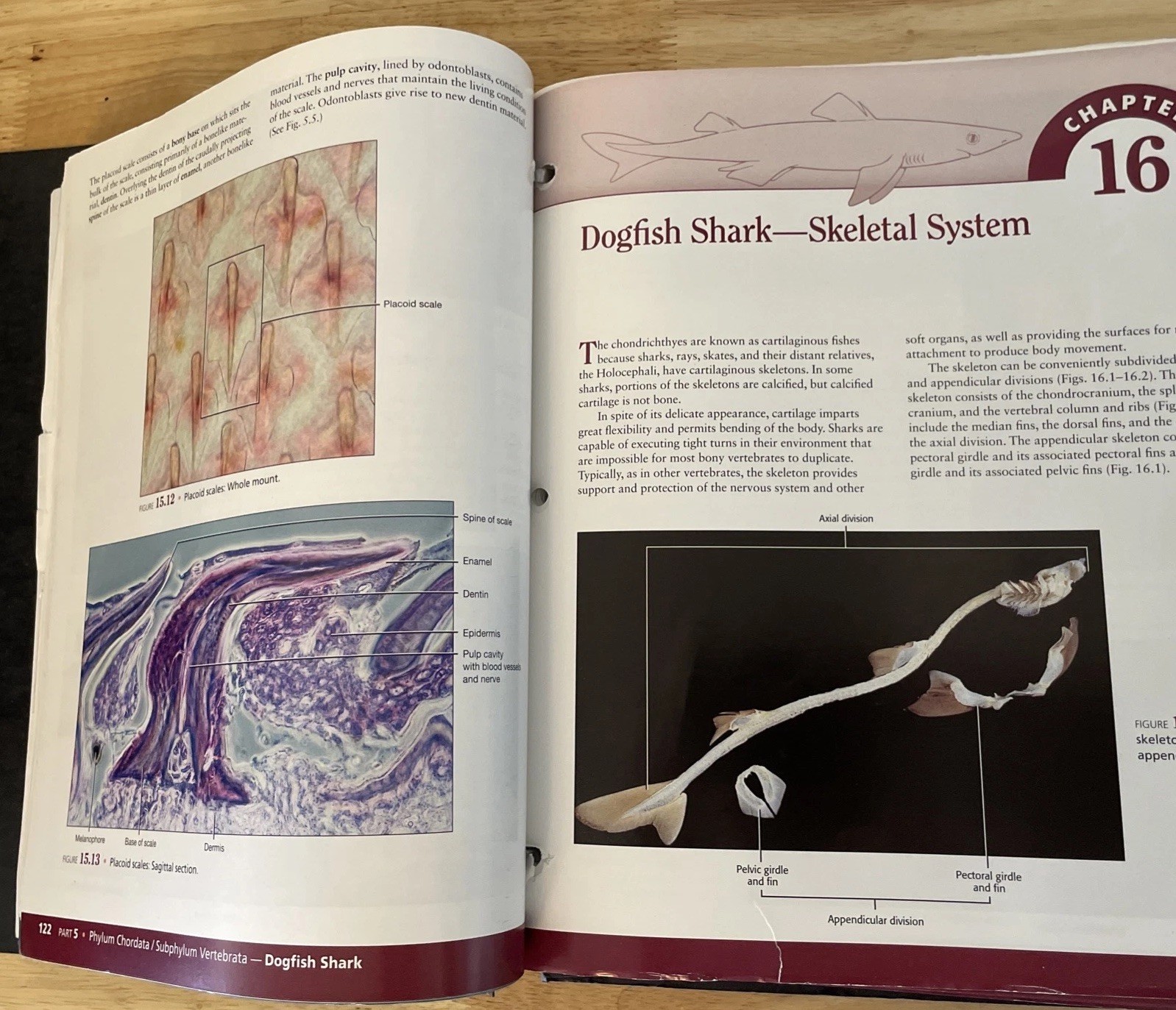 Comparative Anatomy Vertebrate Dissection 3rd Ed. Ringbound, Fishbeck Sebastiani