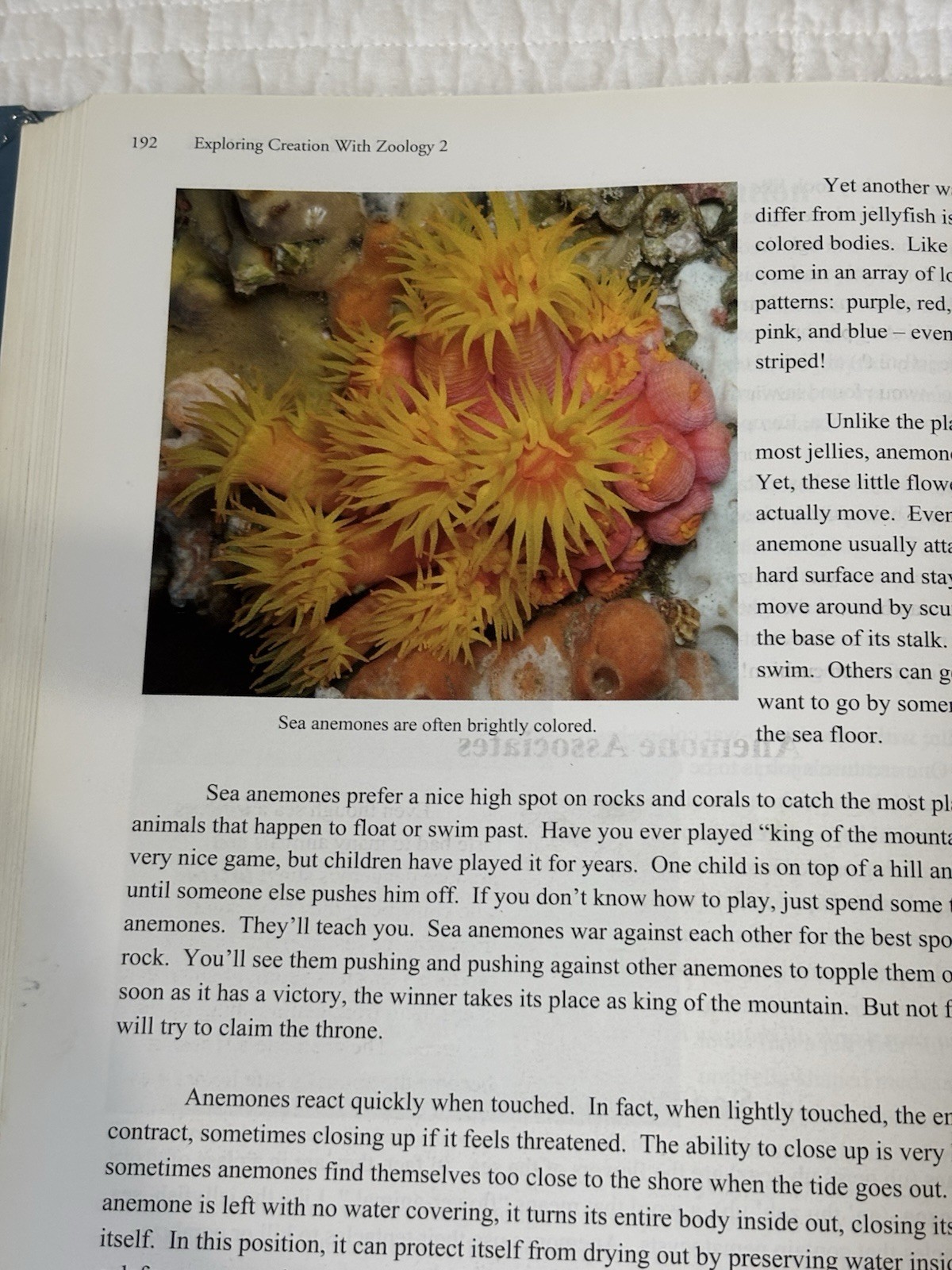 Exploring Creation With Zoology Vol 1 Young Explorers Series Fulbright Apologia