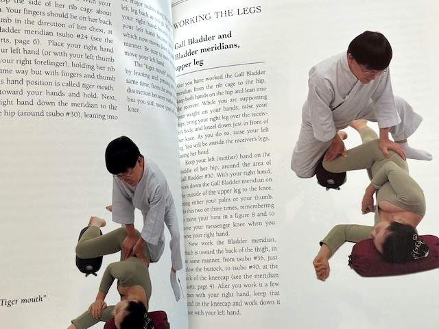 The Ohashi Bodywork Book, Beyond Shiatsu, Brand New/Like New, Fast Shipping!