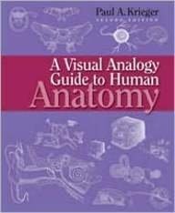 A Visual Analogy Guide to Human Anatomy