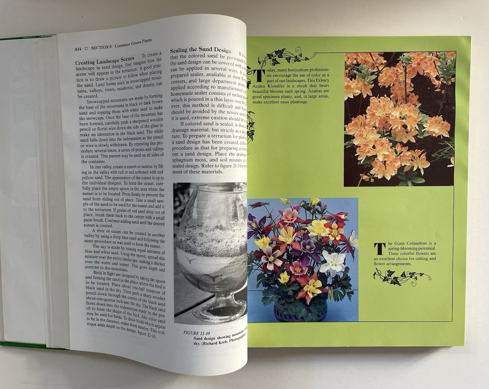Introductory Horticulture Hardcover Reiley & Shry Textbook Excellent Resource ￼