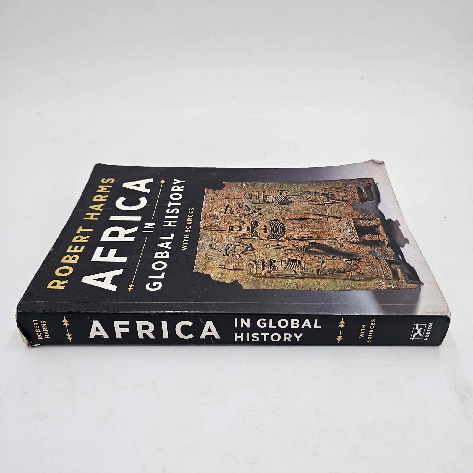 Africa in Global History by Harms | 1st Ed African World History Txtbook PB GOOD