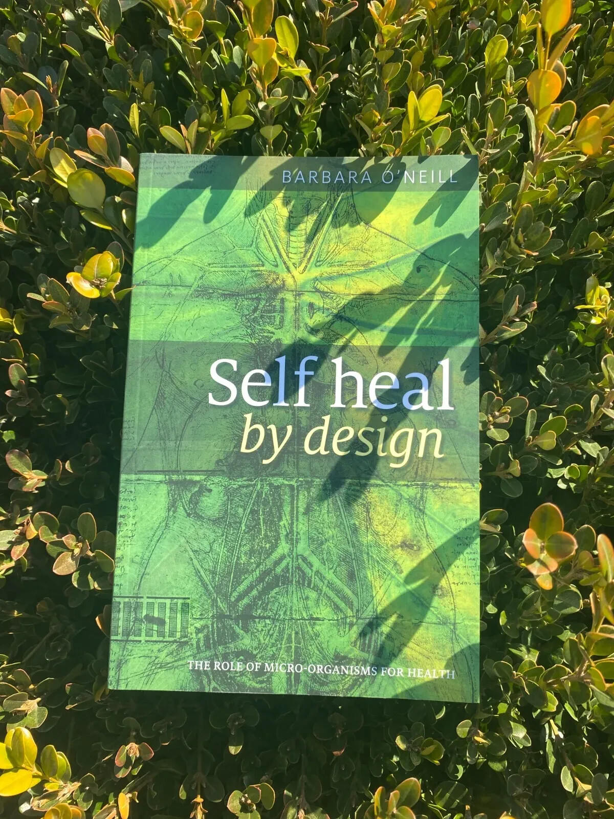 Self Heal By Design Book By Barbara O Neill HARDCOVER Limited Edition Fast Ship