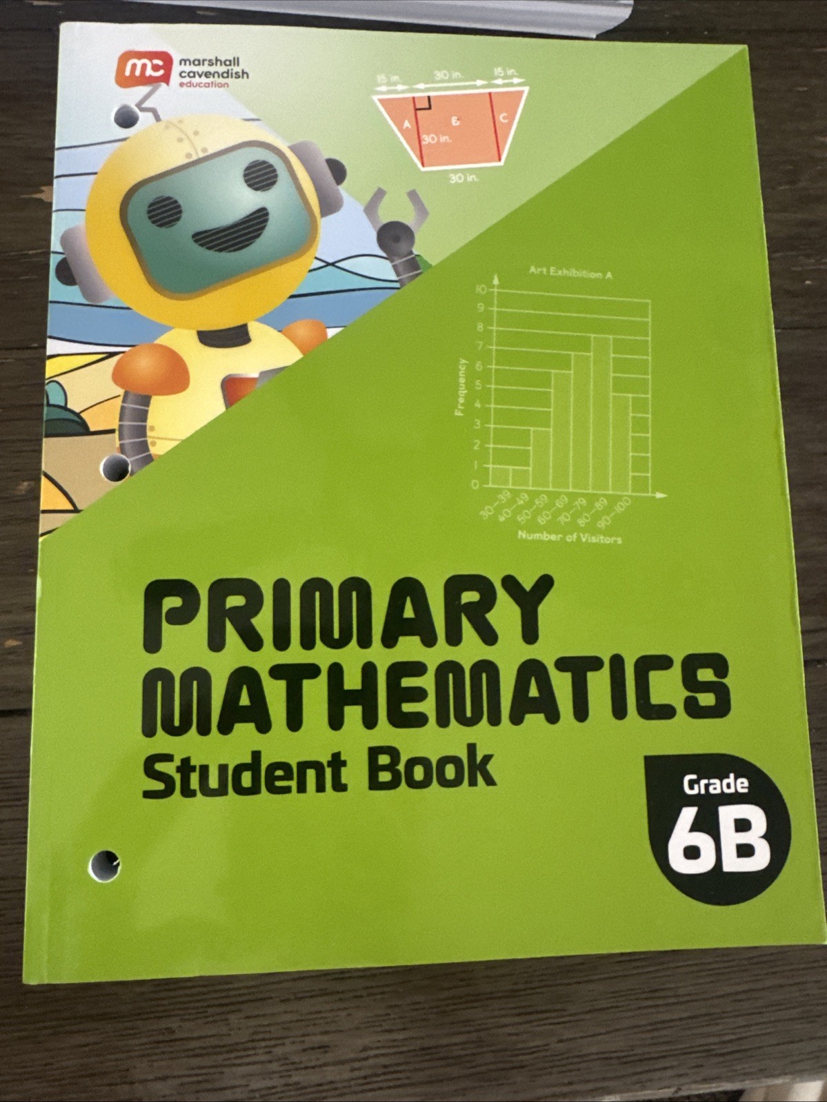 NEW Primary Mathematics Teacher’s Guide Grade 6A 6b student book Math Curriculum